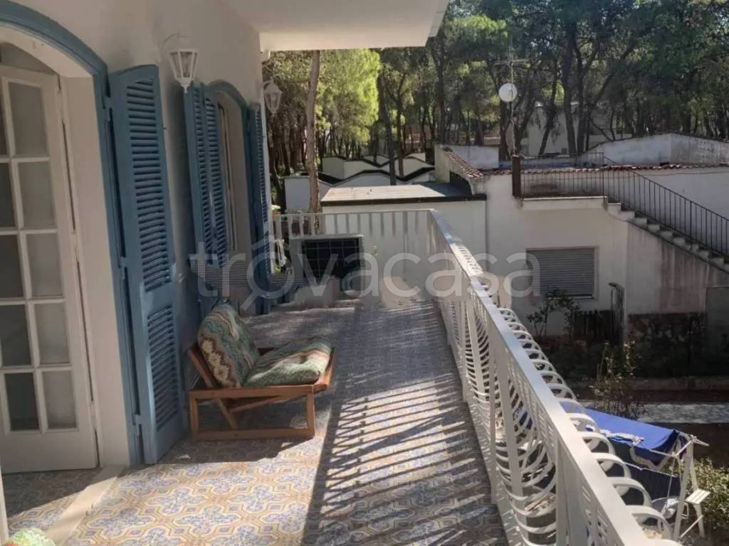 immagine annuncio 9 di 14