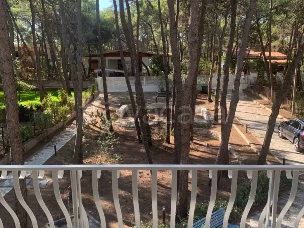 immagine annuncio 10 di 14