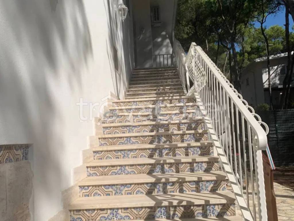 immagine annuncio 11 di 14