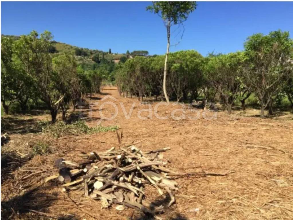 immagine annuncio 2 di 7