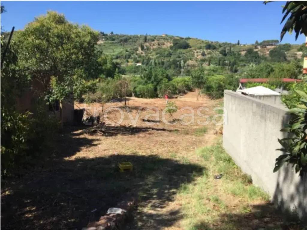 immagine annuncio 5 di 7