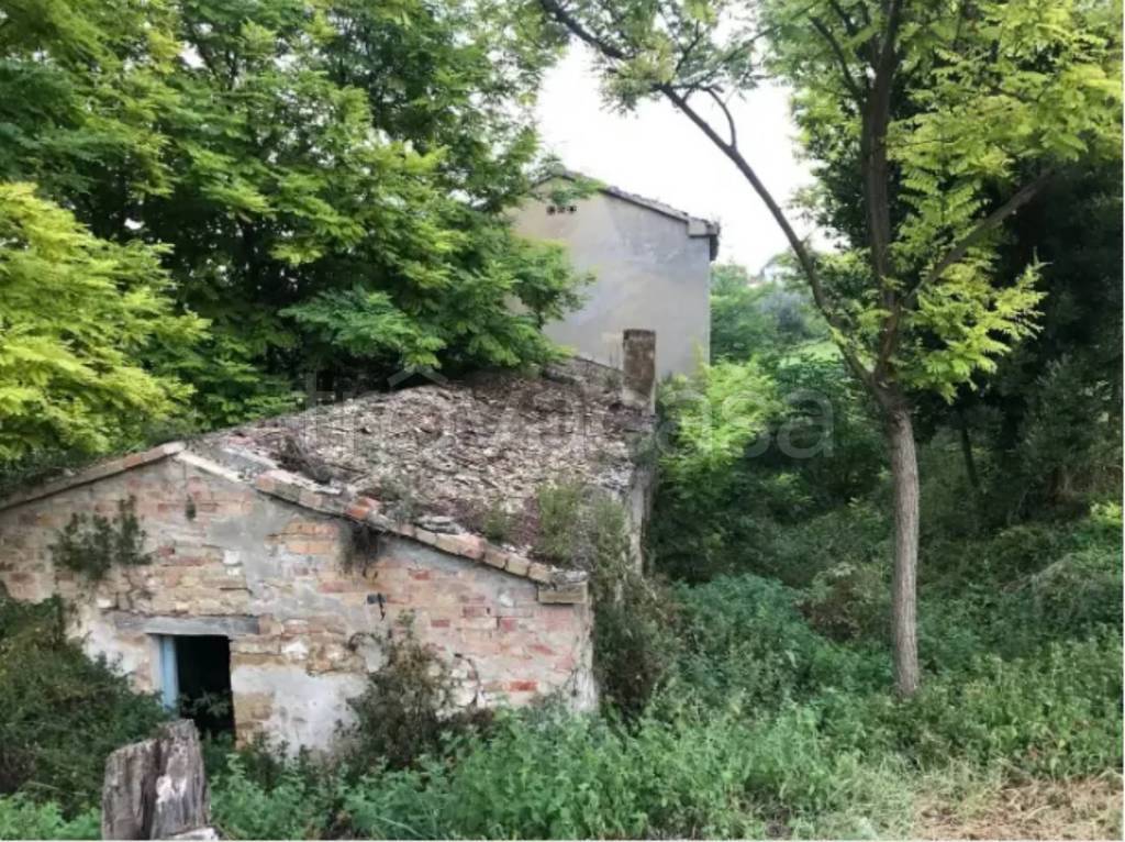 immagine annuncio 9 di 13