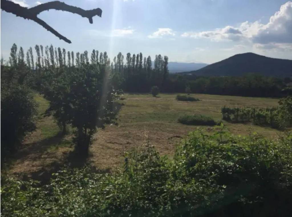 immagine annuncio 1 di 6