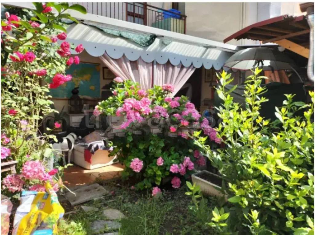 immagine annuncio 12 di 13