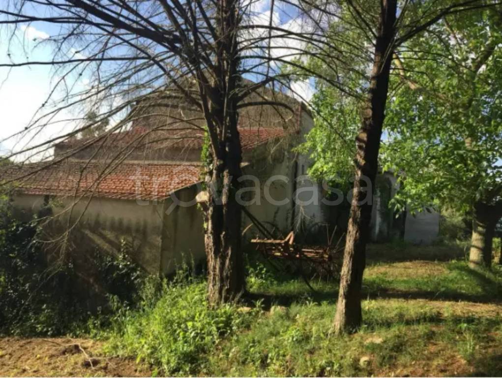 immagine annuncio 2 di 6