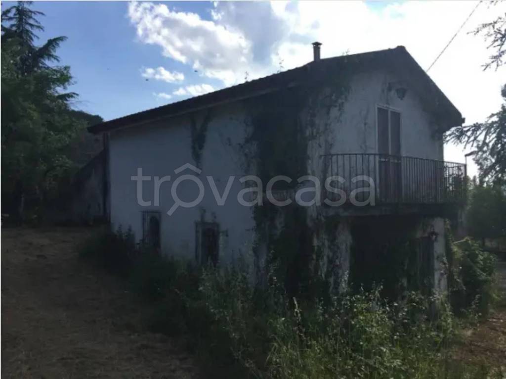 immagine annuncio 4 di 6