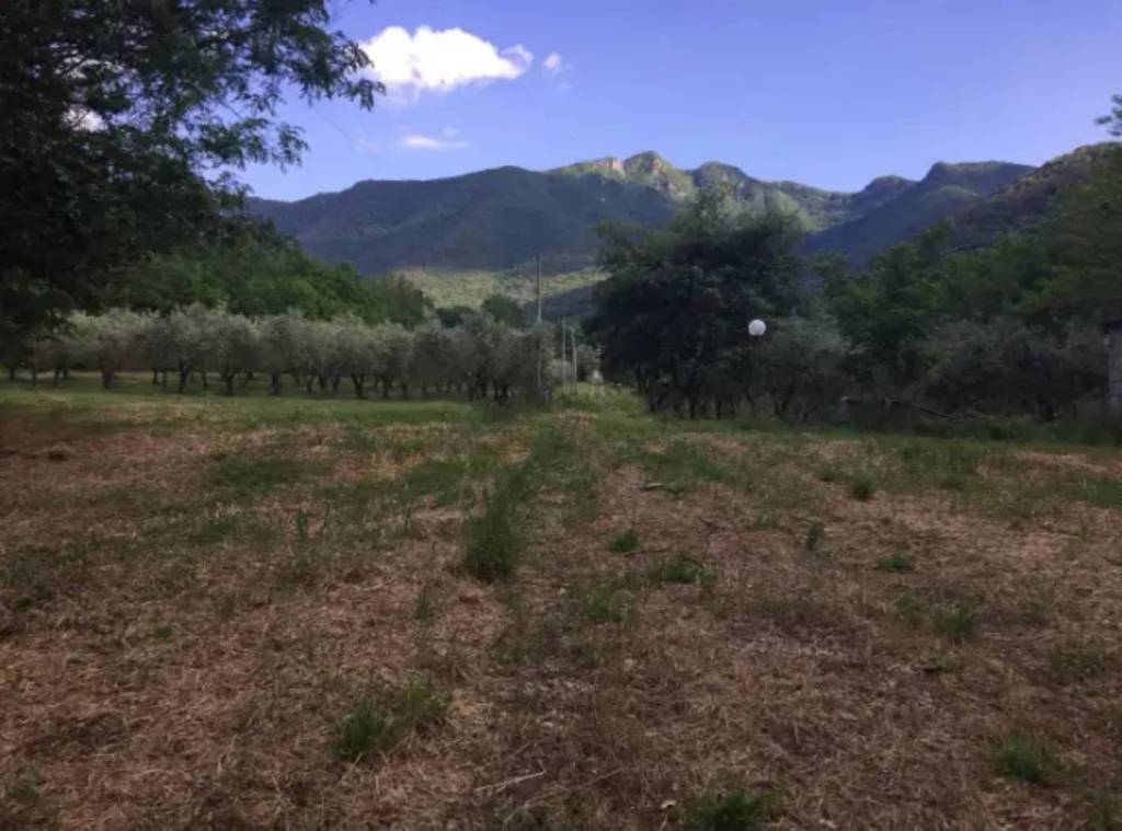 immagine annuncio 5 di 6