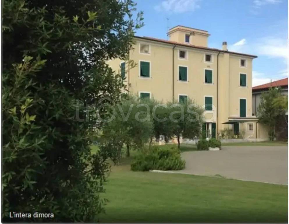 immagine annuncio 8 di 11