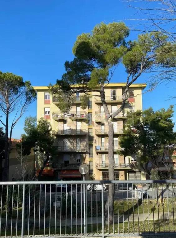 immagine annuncio 2 di 7