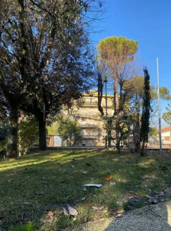 immagine annuncio 3 di 7