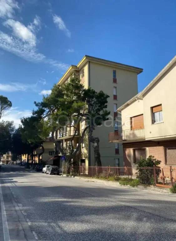 immagine annuncio 5 di 7