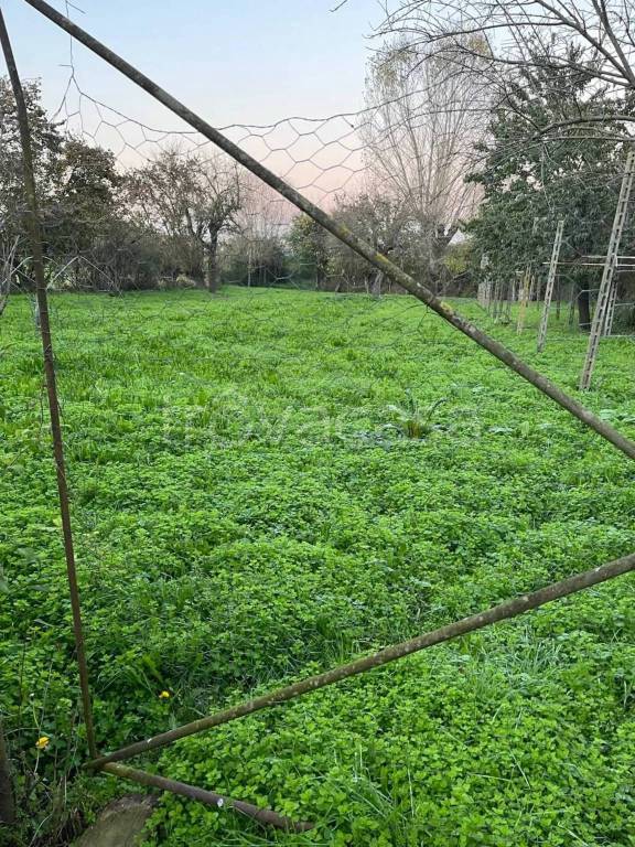 immagine annuncio 3 di 4