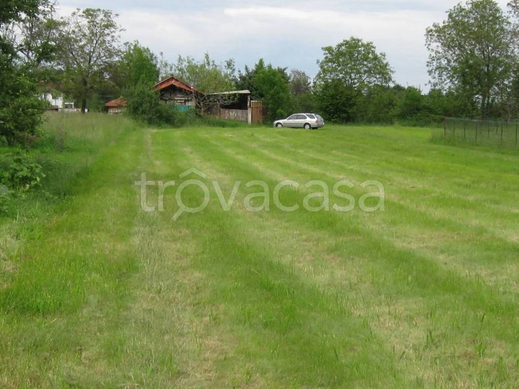 immagine annuncio 2 di 6