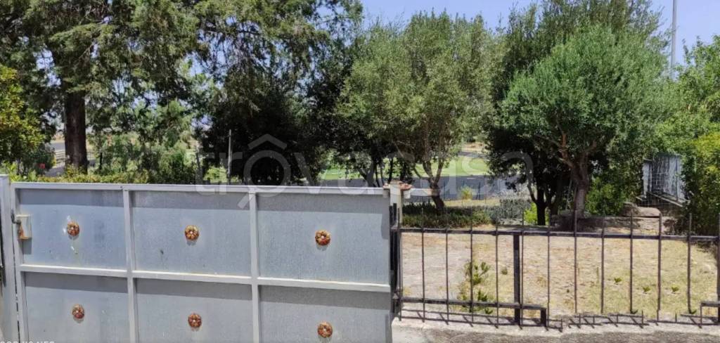 immagine annuncio 4 di 6