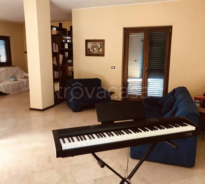 immagine annuncio 12 di 15