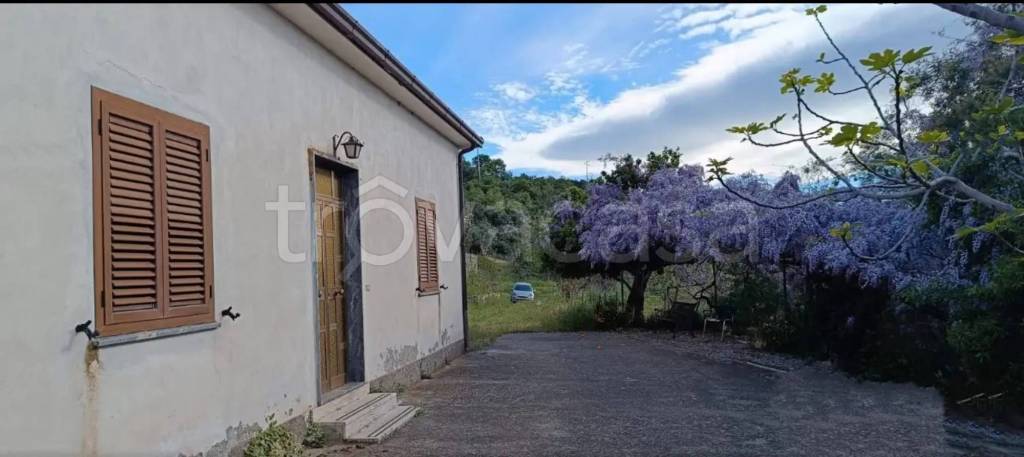 immagine annuncio 1 di 6