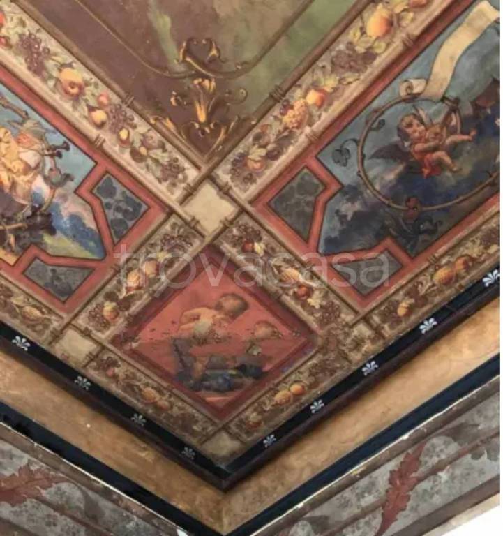 immagine annuncio 6 di 12