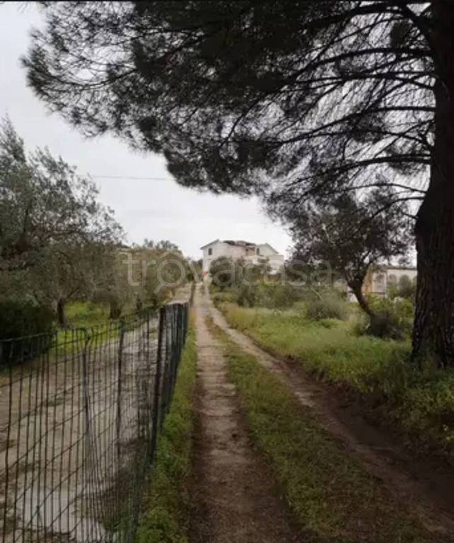 immagine annuncio 3 di 7