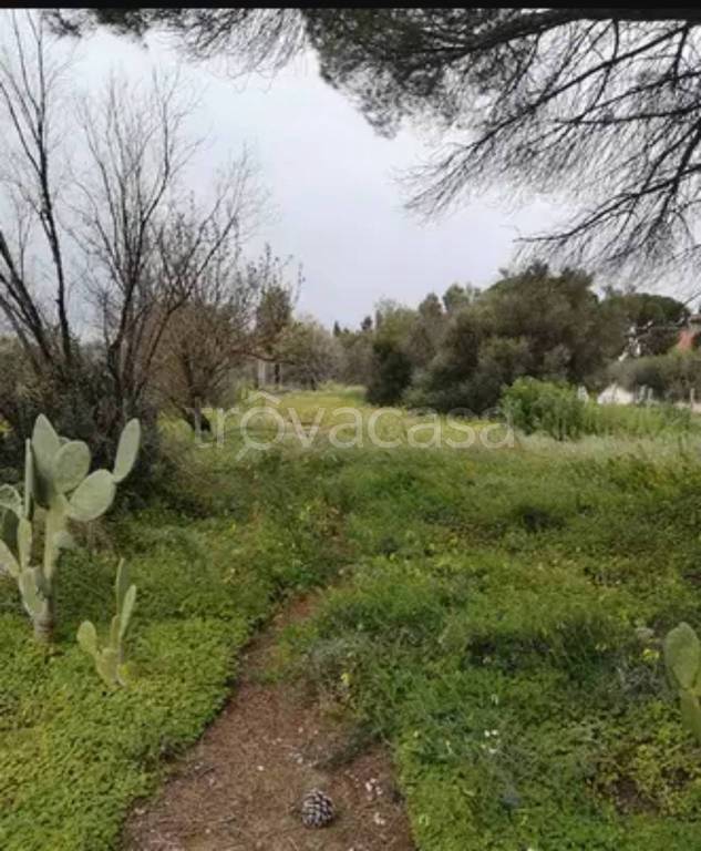 immagine annuncio 4 di 7