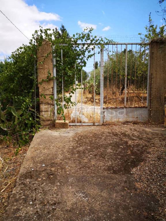 immagine annuncio 6 di 7