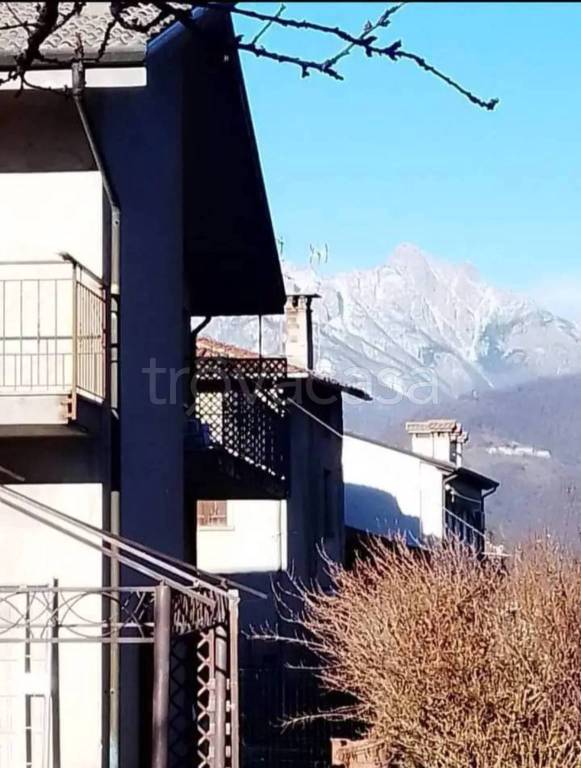 immagine annuncio 5 di 12