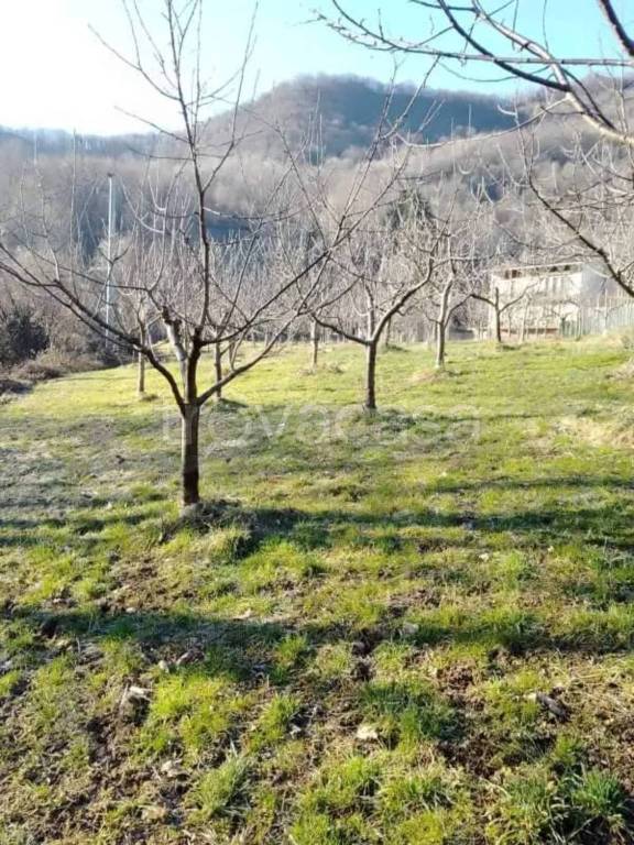 immagine annuncio 8 di 12