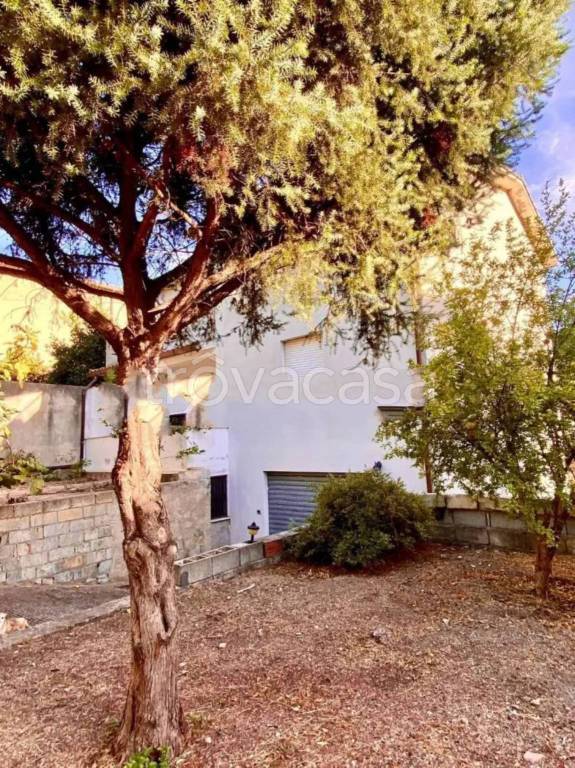 immagine annuncio 7 di 8