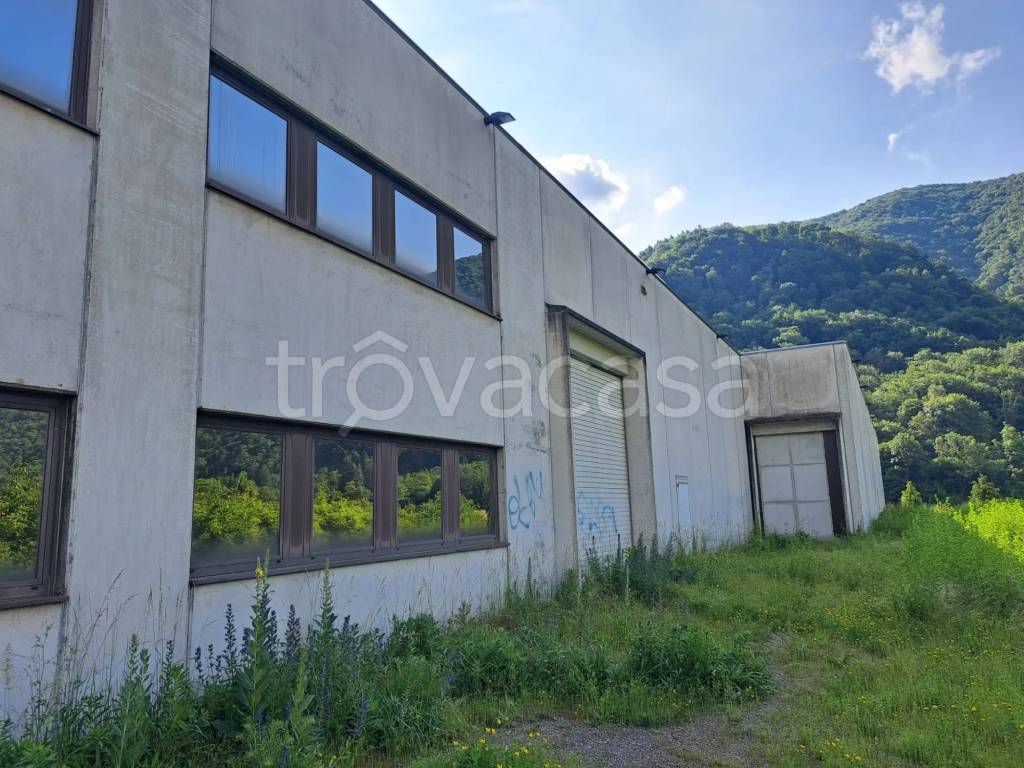 immagine annuncio 1 di 6