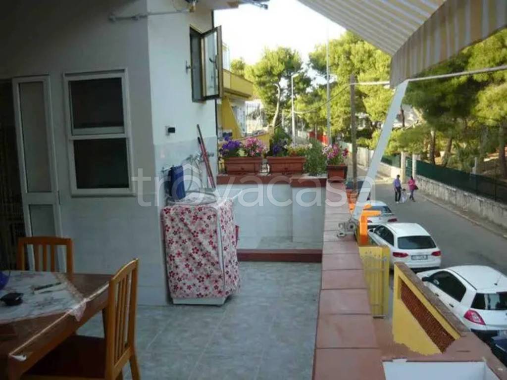 immagine annuncio 2 di 6