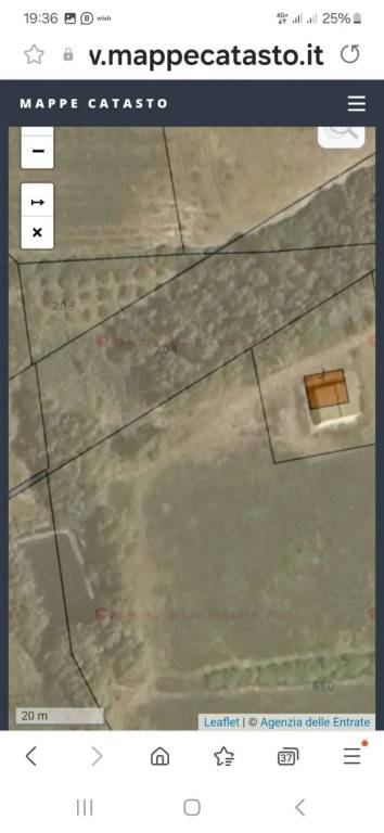 immagine annuncio 1 di 7