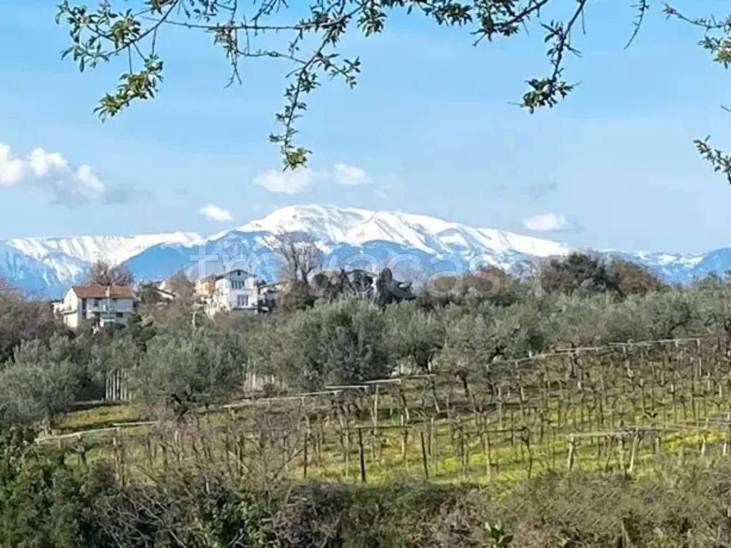 immagine annuncio 2 di 6
