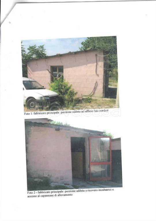 immagine annuncio 2 di 4