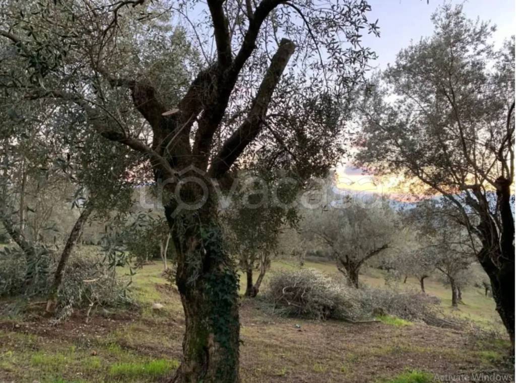 immagine annuncio 7 di 8