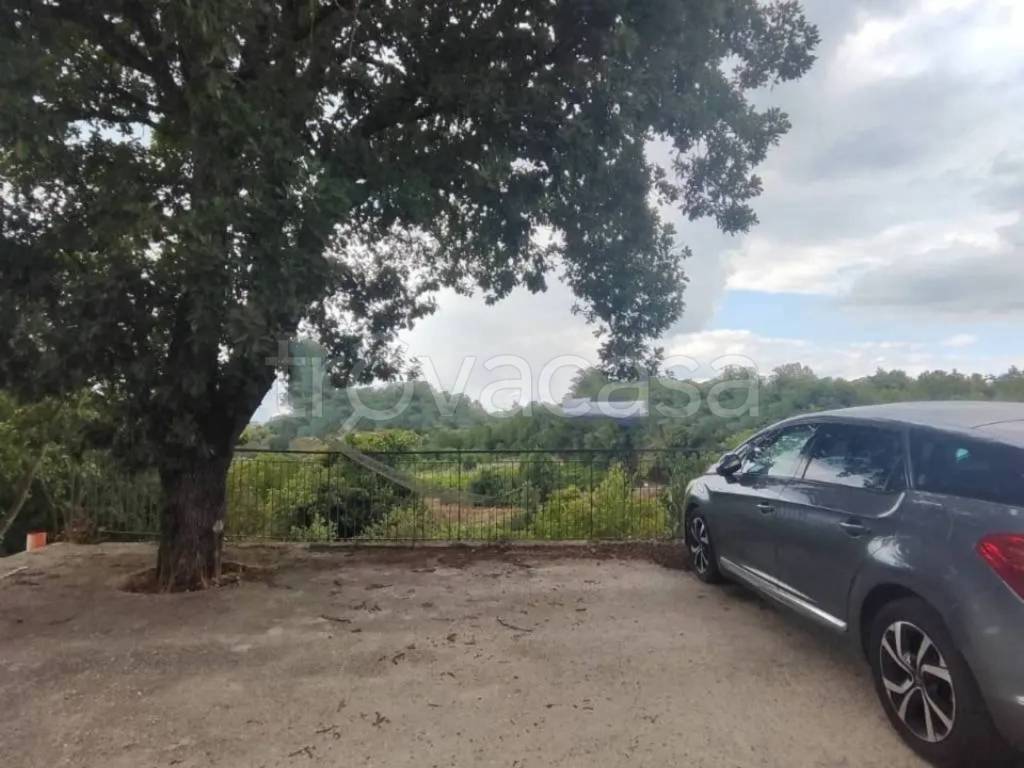 immagine annuncio 2 di 7