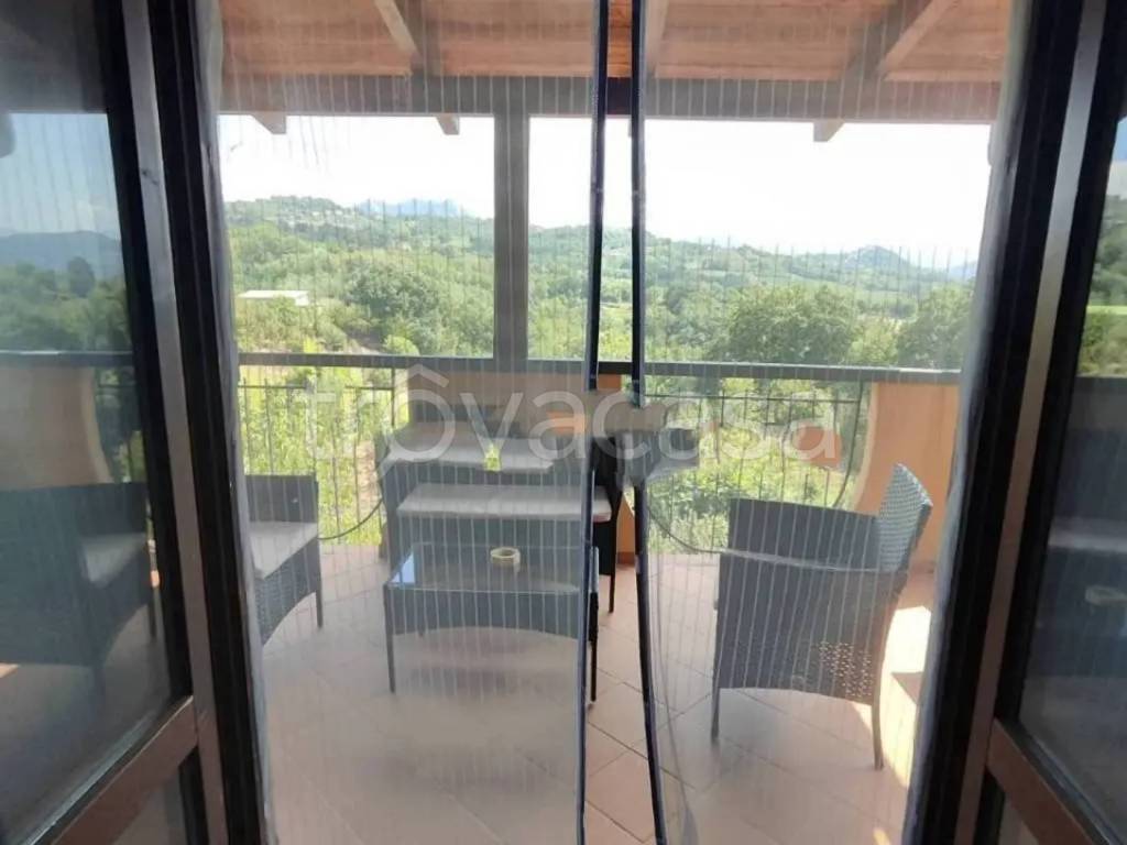 immagine annuncio 4 di 7