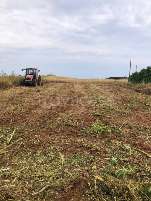 immagine annuncio 11 di 14