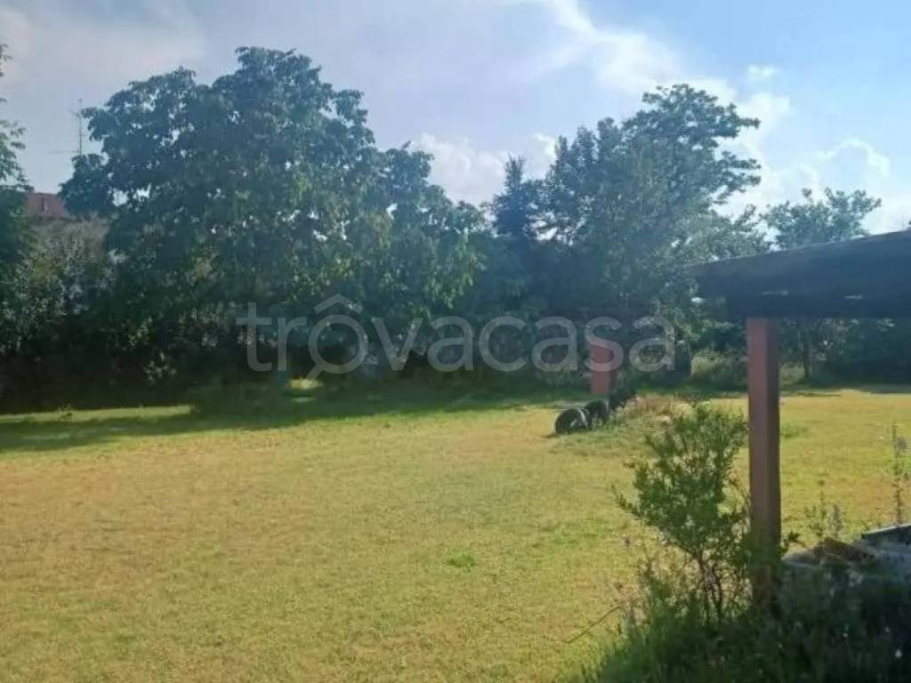 immagine annuncio 3 di 7