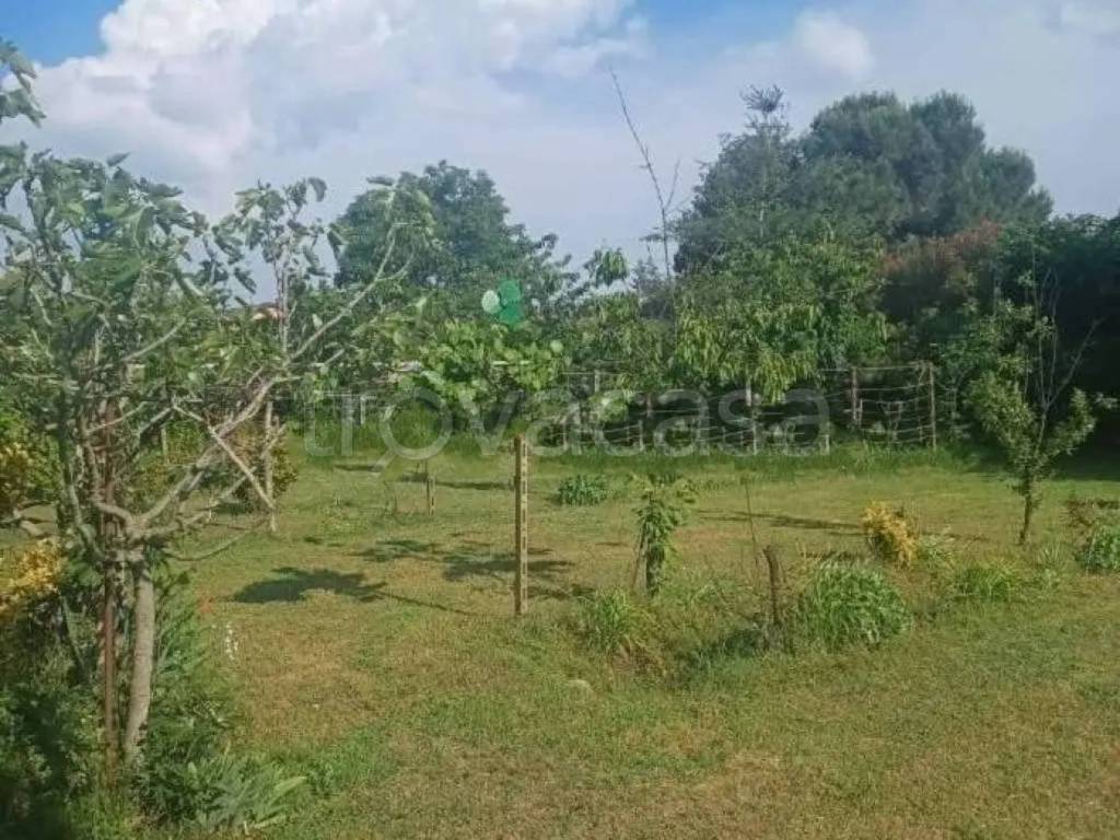 immagine annuncio 4 di 7