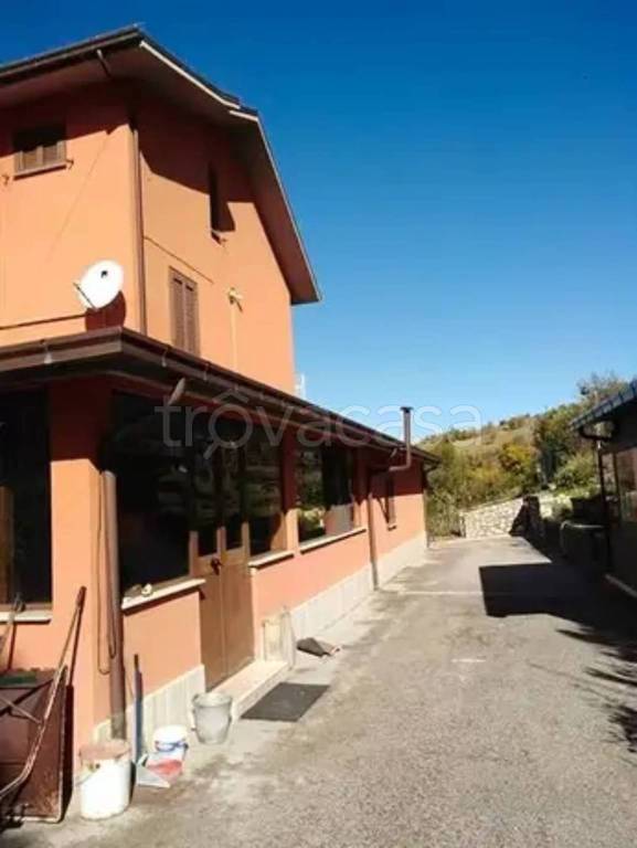 immagine annuncio 2 di 6