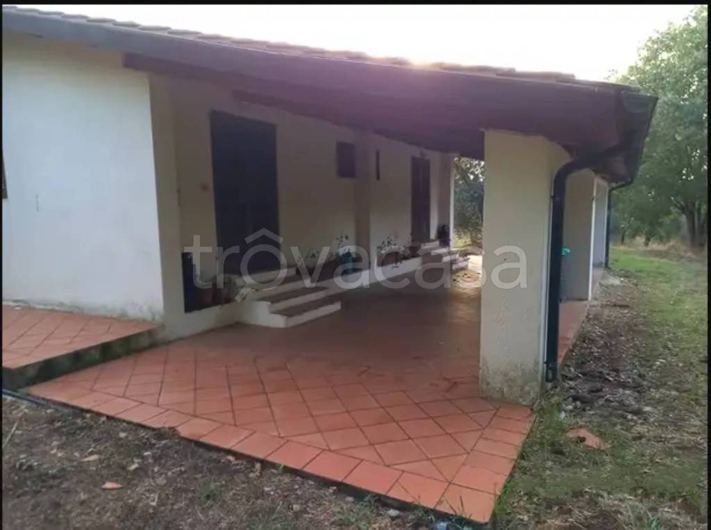 immagine annuncio 2 di 6