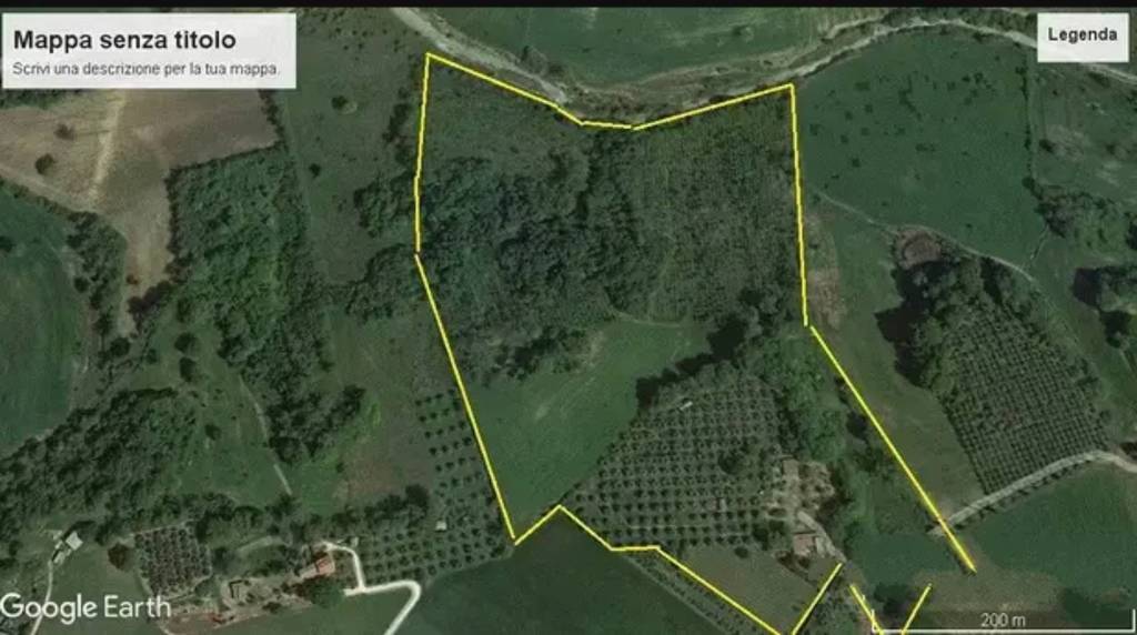 immagine annuncio 4 di 6