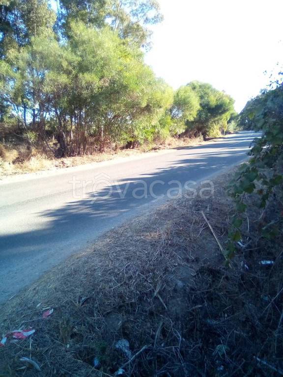 immagine annuncio 5 di 8