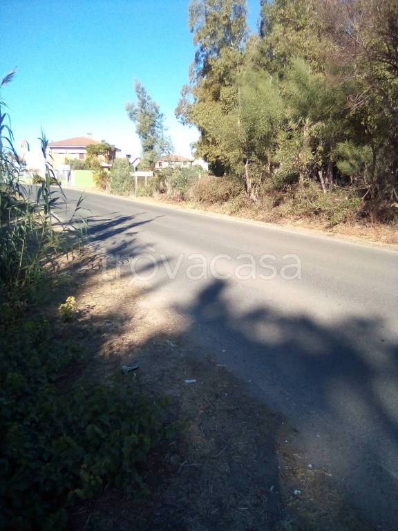 immagine annuncio 6 di 8