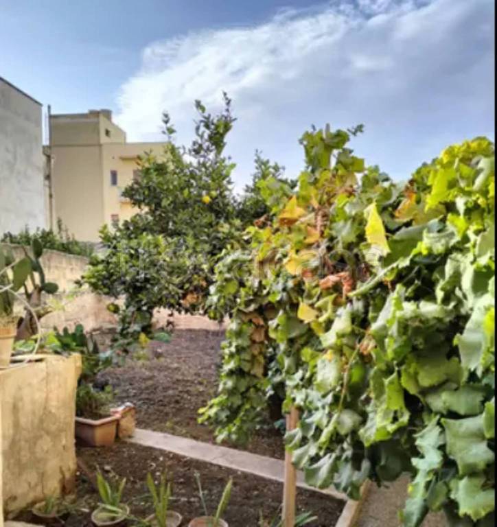 immagine annuncio 5 di 6