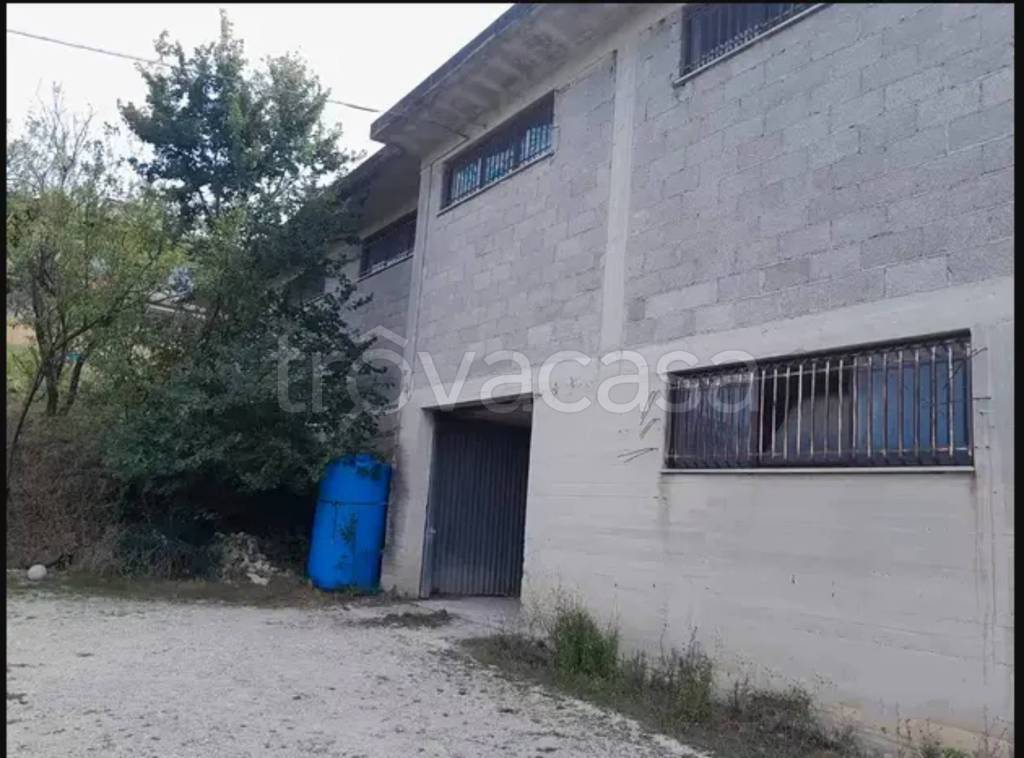 immagine annuncio 4 di 6