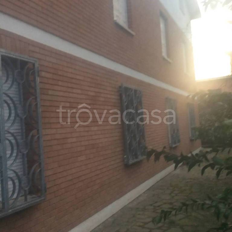 immagine annuncio 3 di 7