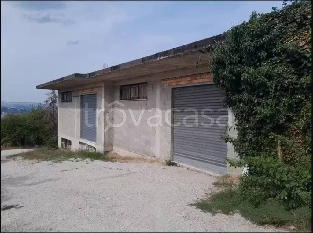 immagine annuncio 5 di 6