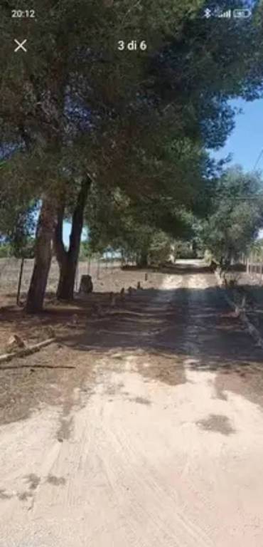 immagine annuncio 2 di 6