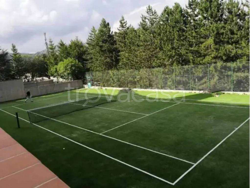 immagine annuncio 5 di 8