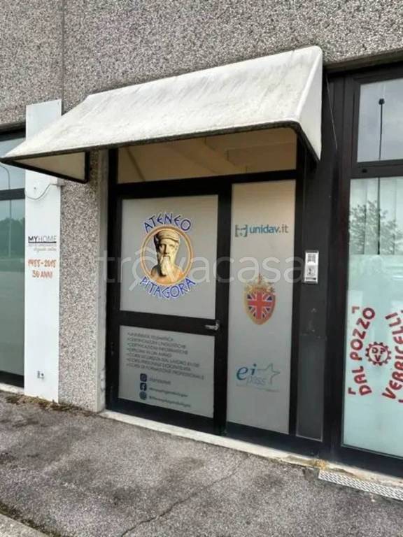 immagine annuncio 6 di 8